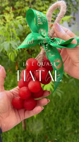 O Natal está chegando e agora é o momento perfeito pra você garantir o seu presente! 🎁 🎄 Não deixe pra última hora! 🫶🏻  #tiktokshop #saboneteartesanal #presentedenatal #sabonetedecacho 