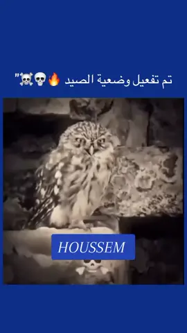 كل خمسة ايام فيديو 👑🔥#الشعب_الصيني_ماله_حل😂😂 #الفيد #مشاهدات #تعليقاتكم #متابعه_ولايك_واكسبلور_احبكم #fyp