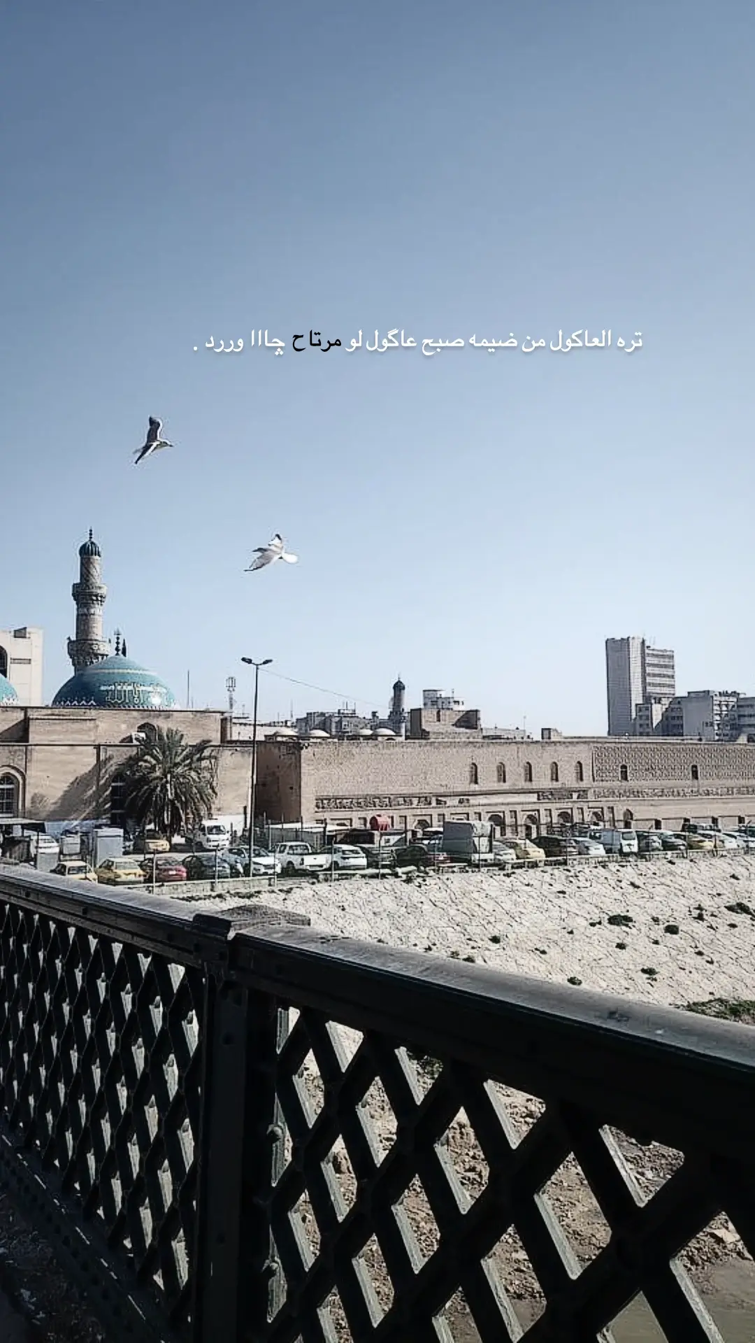 #لا #عباراتكم_الفخمه📿📌#fyp  #شعب_الصيني_ماله_حل😂😂 #شعراء_وذواقين_الشعر_الشعبي 