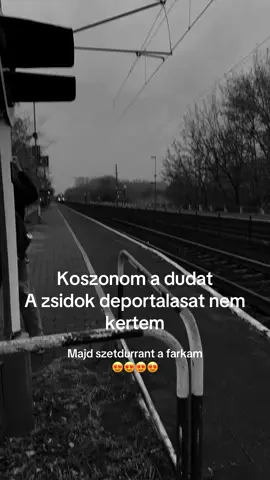 #buszspotting #fyp #zsidok #lázarjános #vonatspotter csak a fidesz🧡🧡