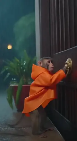 ai hỏi @2007 #xuhuong #sora2 #2007 