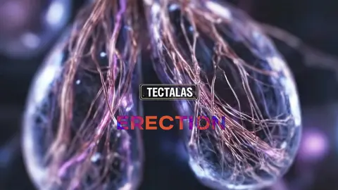 They don’t just produce life. They regulate balance, temperature, and survival itself. #education #biology #human #Science #LearnOnTikTok 