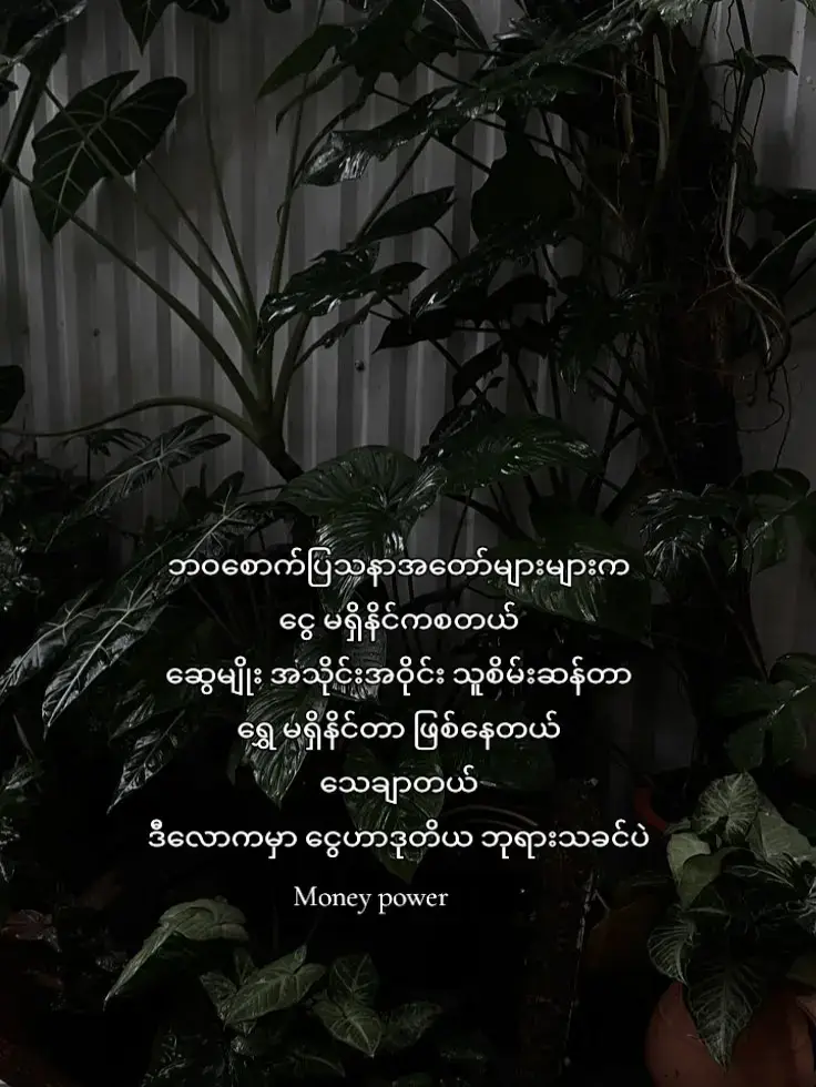 #for #tiktok🖤viral🖤fyp #tiktok🖤viralシ #pppp0pppppppppppppppppppppppppppppppppp #pppppp0ppppppppppppppppppppppppppppp 