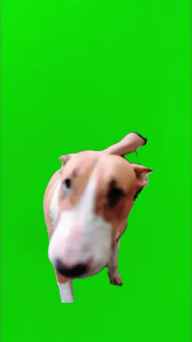 meme mr.gold #greenscreen #kozyfashion #meme 