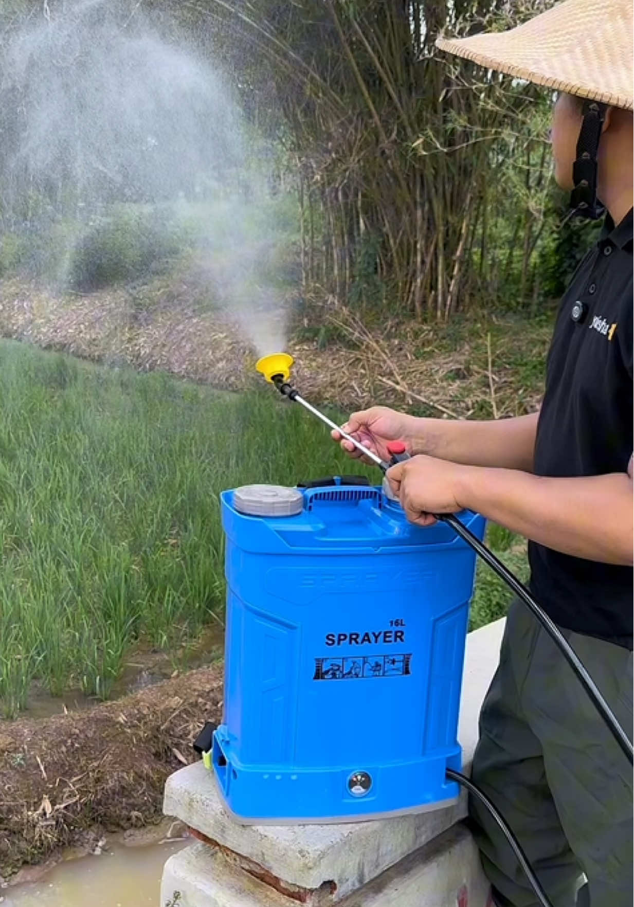 Semprotan sprayer elektrik 16 liter rekomendasi untuk para petani! Seburannya kencang! Pompa 120 PSI  #semprotanair #sprayerelektrik #sprayertanaman #sprayersalju #semprotantanaman 