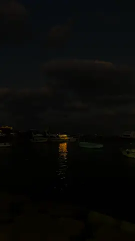 #tiktok #viral #fyp #foryou #amrdiab 