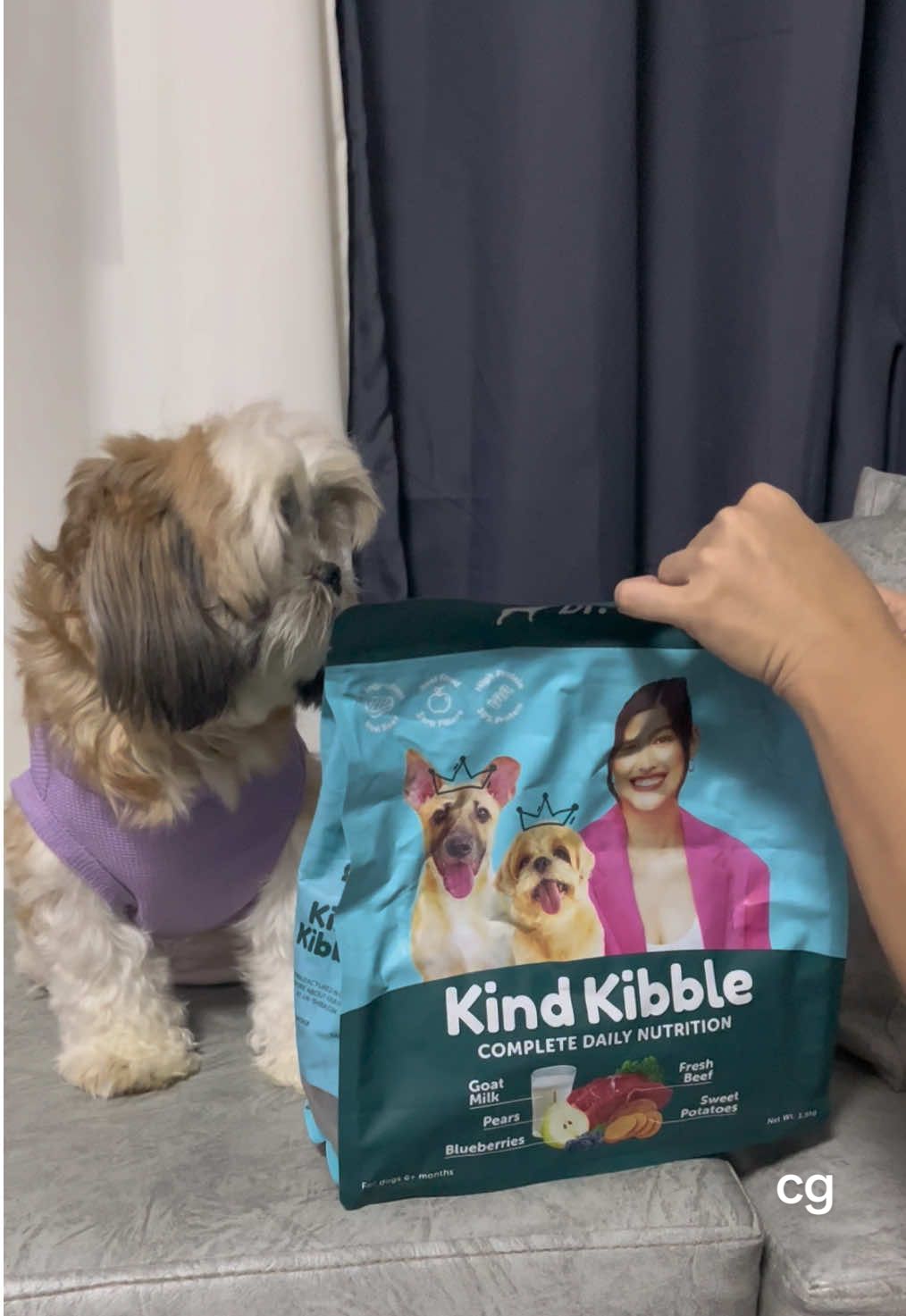 Dr Shiba Kind Kibble has officially passed the picky eater test 🐕💕 Nothing but wholesome goodness in every bite.  #drshiba #dogfood #drshibadogfood #dog #fyp 