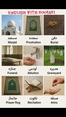 Islamic vocabulary | Masjid, burial, prostration, ablution, graveyard, funeral.. #vocabulary #لغات #انگلیسی_روزانه #انګليسى #englishwithnoorani 