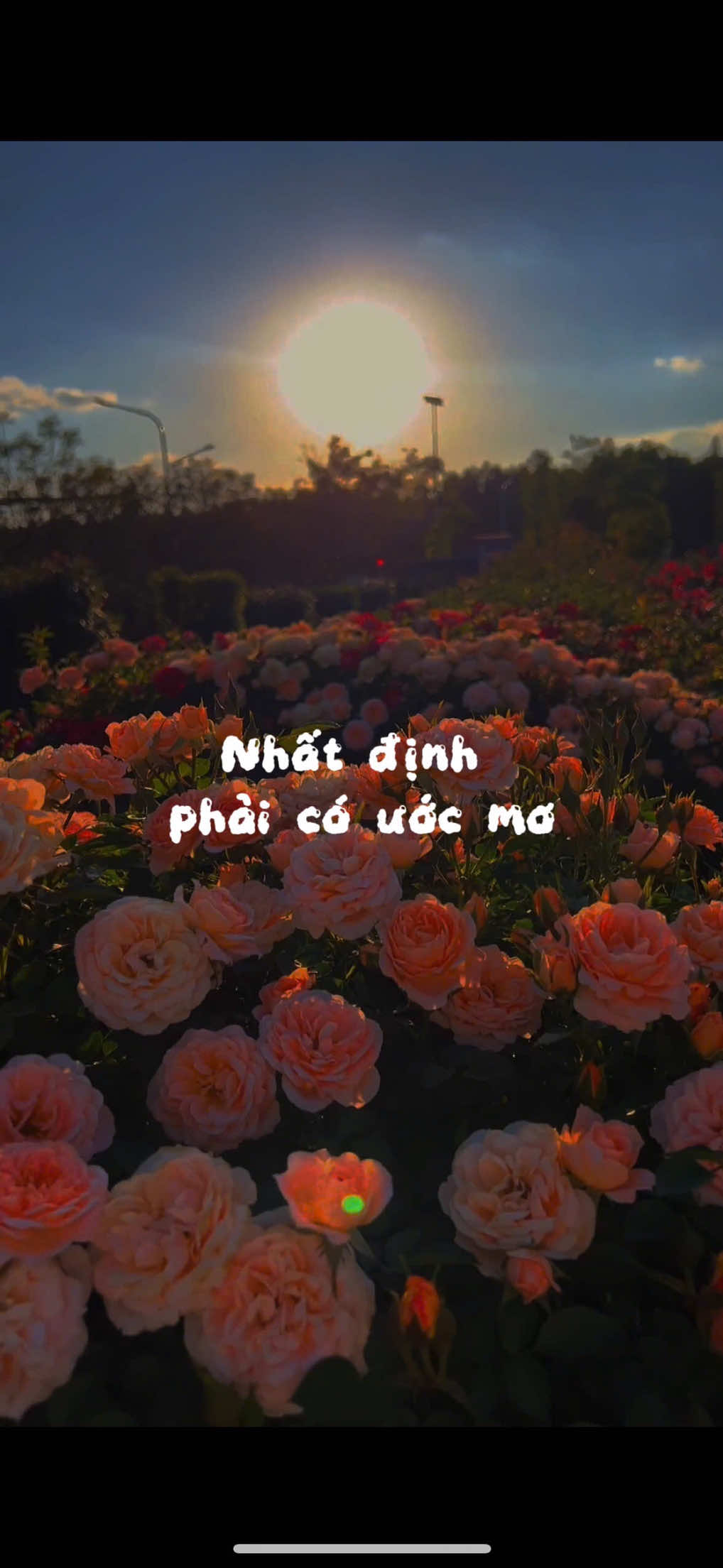 Có thể hôm nay bạn chưa biết ước mơ của mình là gì, cũng không sao cả.  Hãy bắt đầu bằng việc lắng nghe chính mình:điều gì khiến bạn thấy vui, điều gì khiến bạn thấy được là chính mình?  Rồi từ từ bạn sẽ tìm ra ☺️ ##chualanh##trichdanhay##trichdan##caption##viral