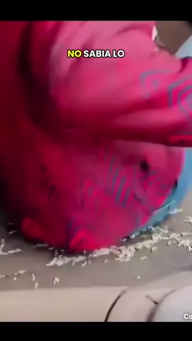 Link En la Bio🔗#aspiradora #fyp #trucosdelhogar #limpio 