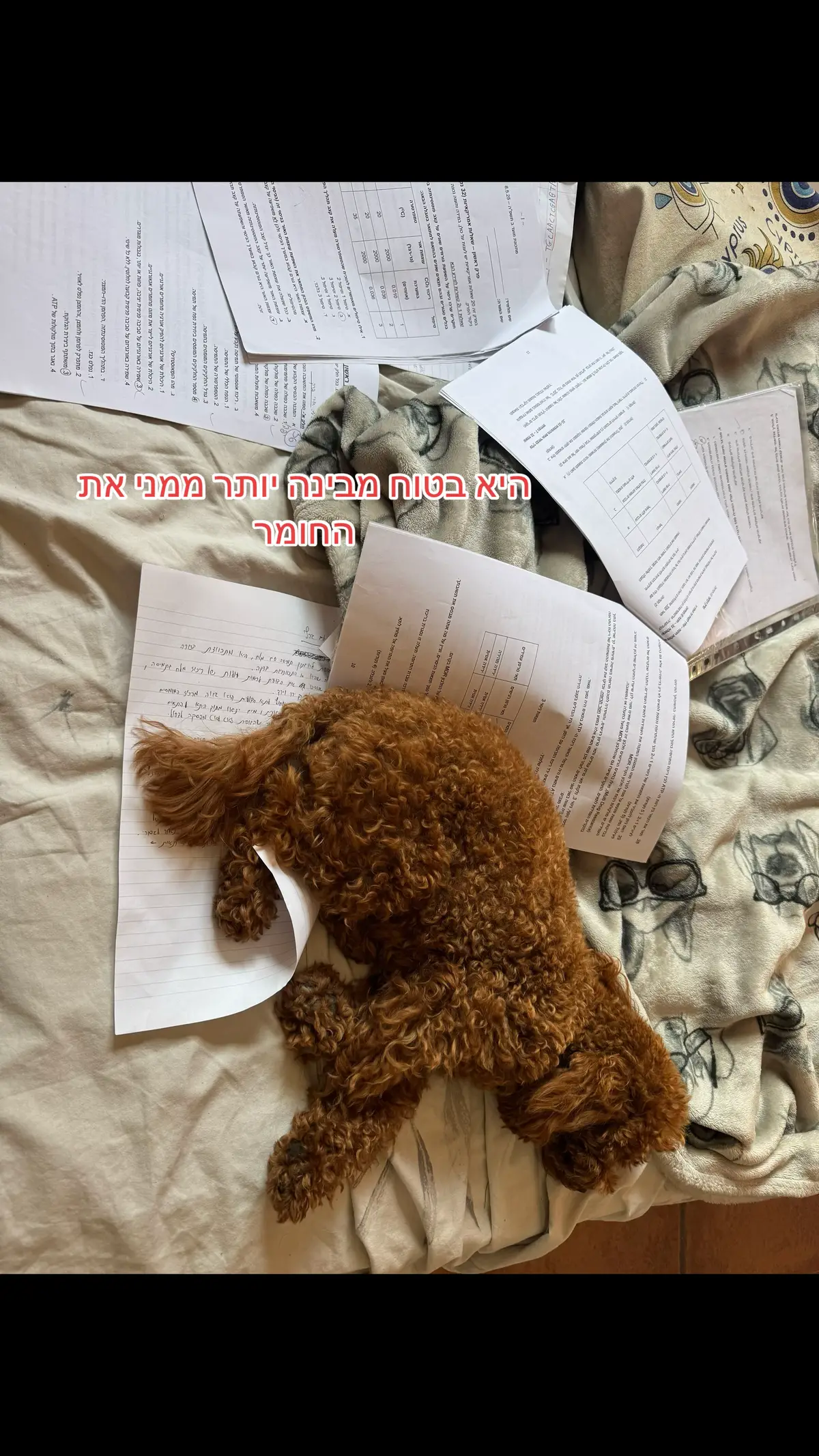 מבוסס על סיפור אמיתי #foryou #ביולוגיהסובליםיותר 