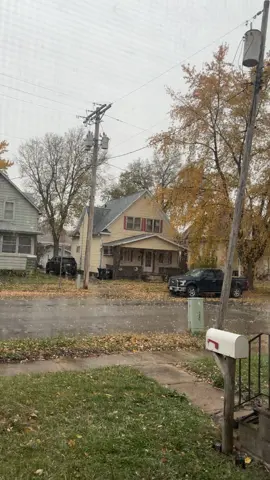 It’s a snowy day in the Ioway;) 