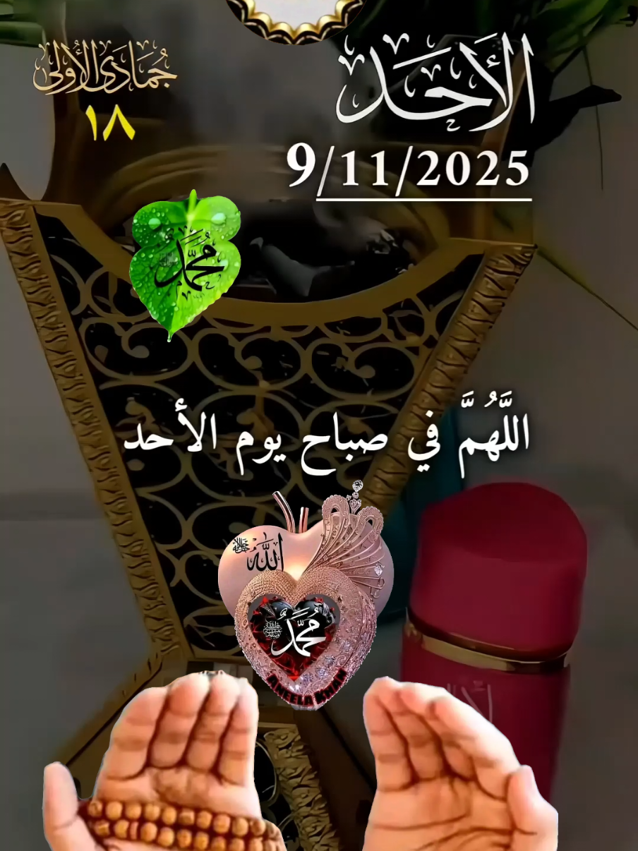 دعاء يوم الاحد يارب 9/11/2025 #دعاء_يوم_الاحد  #يارب #اللهم_امين_يارب_العالمين #دعاء_يريح_القلوب🤍🤍🤲🏻 #دعاء_يوم_الاحد  🌺🌺🕊 🤲🤲🕋🕋🤲🤲 