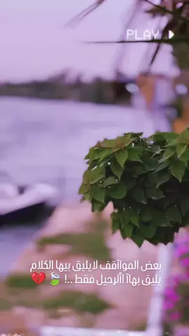 صعدوو #شعر_عراقي #ترند_تيك_توك #علي_رشم #شعب_الصيني_ماله_حل #العيون_الاصايل🥇🧿 