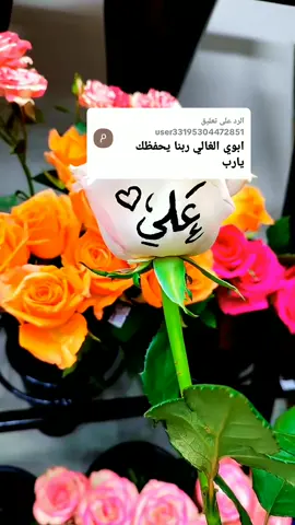 الرد على @user33195304472851 