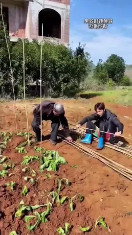 #giaitri #haihuoc #tiktokgiaitri #cliphaihuocvuinhon 