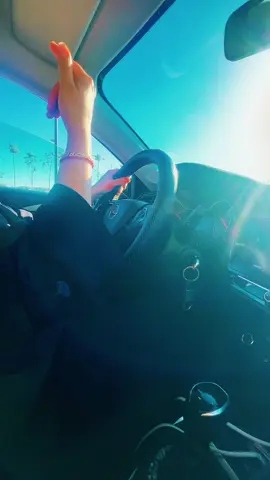 #autoecole #permisdeconduire #permis #codedelaroute #permisb                         