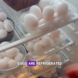 The Real Reason American Eggs Are Refrigerated #Science #popularvideo #usa_tiktok #fyf #egg 