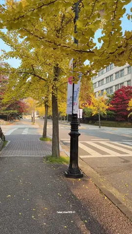 South Korea 🇰🇷🇰🇷🇰🇷. #korea #autumn #2025 #fyp #unfrezzmyaccount 