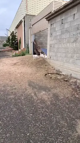 #في هذا اليوم 