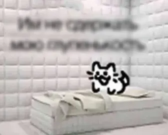 ТГК: @Xtr3mumFans #озвучка #мемы #смех #юмор #озвучкамемов #кот 