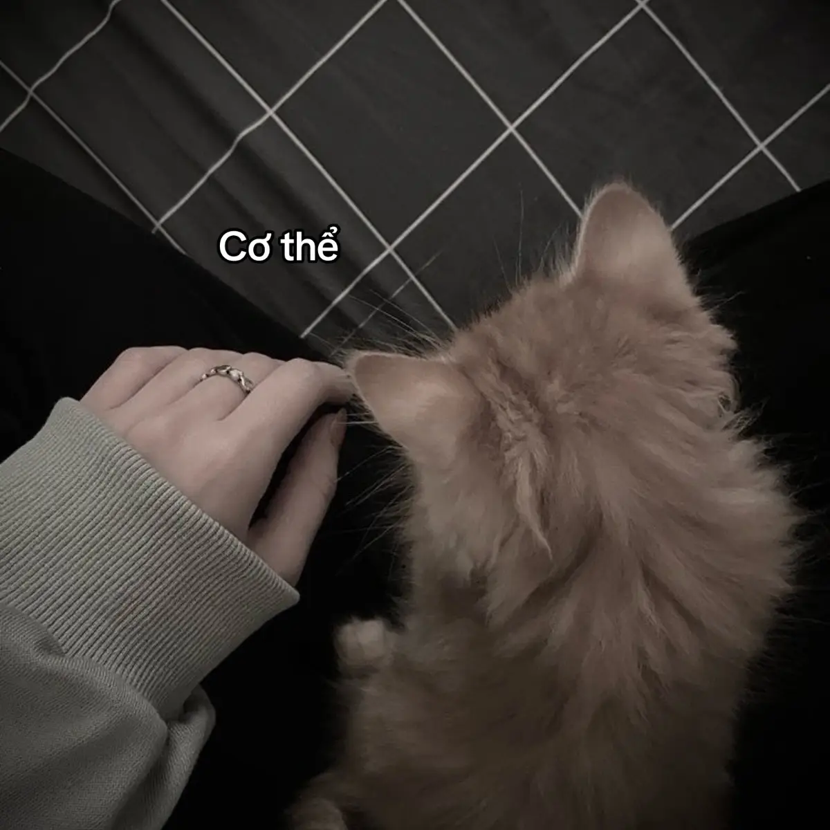 #sadstory #viral #tinhyeu #tam_trang_buon #pheoverthinking 