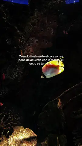 Cómo estás hoy? #mujereslatinas #aquarium #frasesdeamor #compartir #fyppppppppppppppppppppppp 