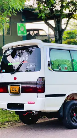 #සුදු_මහත්තයා_🖤🥰💫 #252doly🇯🇵 #vanpisso❤️ #foryour #fypシ #trending #viralvideo #views1000k #onemillionaudition @vidu__madushan👀 @Lasiya🇯🇵🍃 @🔰Sl_van_club🔰 