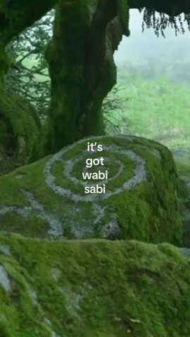 my new favorite word #wabisabi #abcxyz #relatable #fyp #nature 