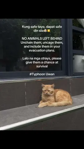 GIVE THEM A CHANCE TO SURVIVE. pls unchain and uncage them. Let’s all pray for our safety and our pet’s safety. #supertyphoon #bagyonguwanph #noanimalleftbehind #evacuation 