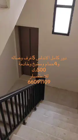 #الشعب_الصيني_ماله_حل😂😂 #المطلاع_الكويت_الجديدة #الكويت #الاندلس #الاندلس 