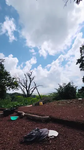 😍La nature est toujour belle ✨🇬🇳