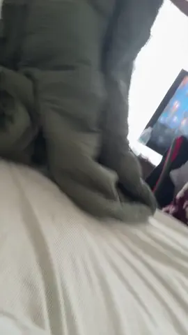 It’s not even noon yet and this what I’m dealing with #WWE #wweraw 