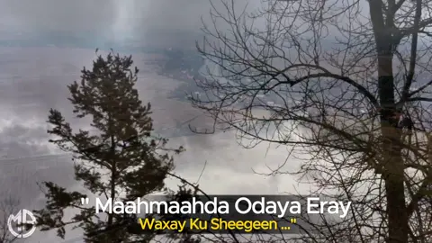 Muuse ismaaciil Qalinle | Allahayoow maxay noqon ? | Qaraami bilaa music ah #qaraami #foryourpage #heesbilaamusic #somalitiktok 