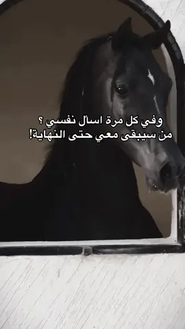 #viral #خيل_وخياله🐎 #اقتباسات #fyp #اكسبلورexplore 