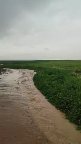 #اسقنا_غيثا_نافعآ🥺🙏 #اللهم #امين #امطار #يارب 