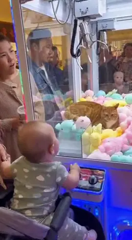 猫をクレーンゲームで取ろうとする赤ちゃん　しかし暴れ回り大変なことに　#猫 #ai猫 #赤ちゃん #かわいい 