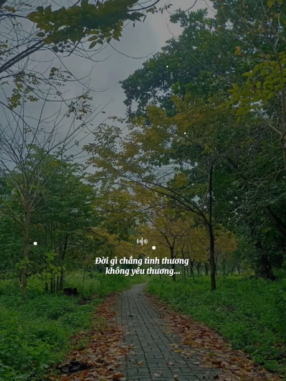 Bài: Kiếp Nghèo Rock Al  #kiepngheo  #nhacbuontamtrang  #tramcamxuc💔  #maucapcut  #tuyen 