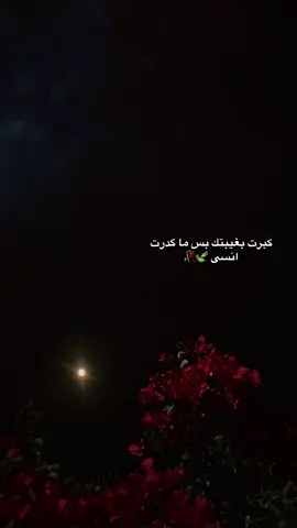 كبرت بغيبتك بس ما كدرت انسى 🥀#عباراتكم_الفخمه📿📌 #شعراء_وذواقين_الشعر_الشعبي #عزام_الشمري #سمير_صبيح 