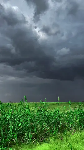 #مشاهير_تيك_توك_مشاهير_العرب #البطانة_جمال_البادية_والريف 