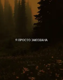 Слухай у плейлисті UA COMPANY на Spotify!