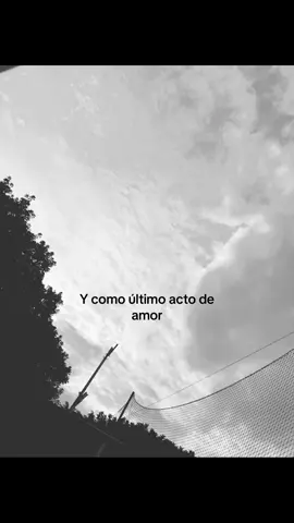 #fuerzaregida #fypage 