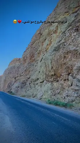 على الأقل يجب أن يمتلك المرءُ منا كتفاً يمِيل عليه وقتما تميل الدنيا فوق رأسه، أن يكون لدى كل منا شخصاً واحداً قادراً على الإختباء فيه من سخافات أفكاره ، ألا يحارب الإنسان منا وحده ، ألا ينتهي يوم أحدنا دون أن يجد من يخبره كم أن قسوة الحياة كانت لتقتله لولا وجوده..!!#حبيب_السليمان♥️ #الرقة_مدينتي❤ #سوريا🇸🇾 