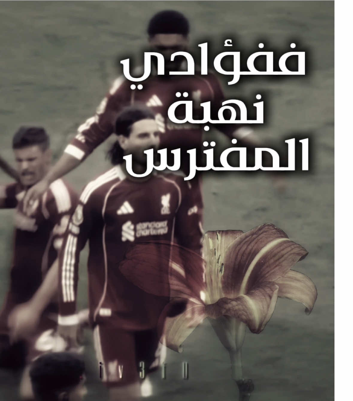 سوبو ❤️🎻 #fyb #foryou #viral 