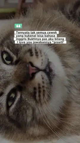 #CapCut knp jawaban nya 