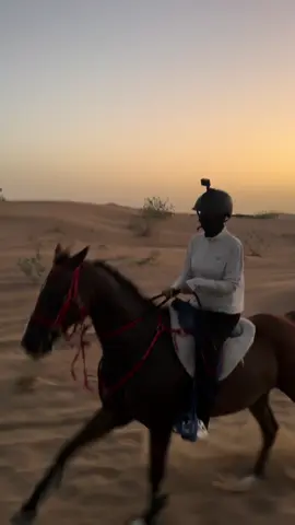 #explore #fyp #خيل_وخياله🐎 #قدره_التحمل #horseriding 