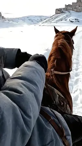 🥀 #cinematic #aestheticvideos #goldenbrown 