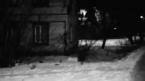 حبيبي هوه!. #تصميم #اغاني #اغاني_عراقيه #fyp #دك_الكلب_كل_دكه_حب🤍😫...................... 