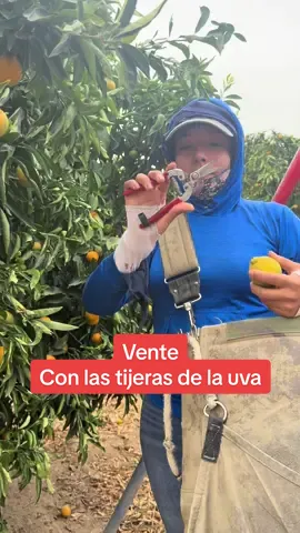 #tatcha #tendencia #foryoupage #viral #fyp 