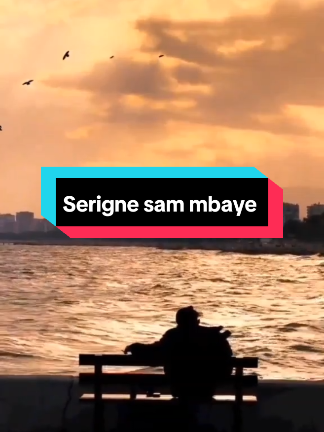 @☪️Serigne Bara📿Alhamdoulilah @AHMADOU BAMBA @𝕸Ø𝕸Ö @MAME CHEIKH THIAM 🎧🇸🇳 @alalou mame cheikh Ibrahim fal 